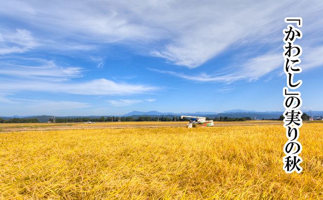 【厳選☆十日町育ち】“有機栽培米” 魚沼産コシヒカリ 5kg×2袋 お米 