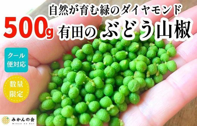 ［5月下旬出荷予定］ぶどう山椒  500g 実山椒 生山椒 クール便対応 和歌山県産 AX101
