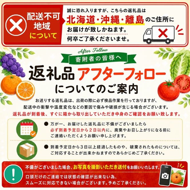 【先行予約】みかん せとか ご家庭用 たにぐち農園の せとか 4.5kg 大小混合【2027年3月から4月上旬までに順次発送予定】 / 家庭用 ご家庭用 せとか みかん 蜜柑 サイズ 不揃い【mtn012C】