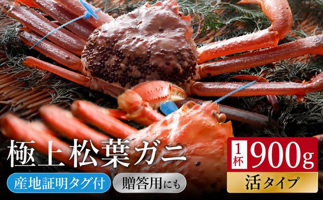 【kinosaki spa&gardens　湯楽使用】タグつき 活松葉ガニ　約900ｇ
