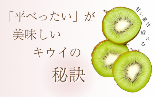わけあり キウイ 2.5kg+250g（傷み補償分）扁平果 / 和歌山 家庭用 フルーツ 果物 くだもの ※2026年11月中旬より2027年4月下旬頃順次発送予定 ※北海道・沖縄・離島配送不可 【ikd703B】
