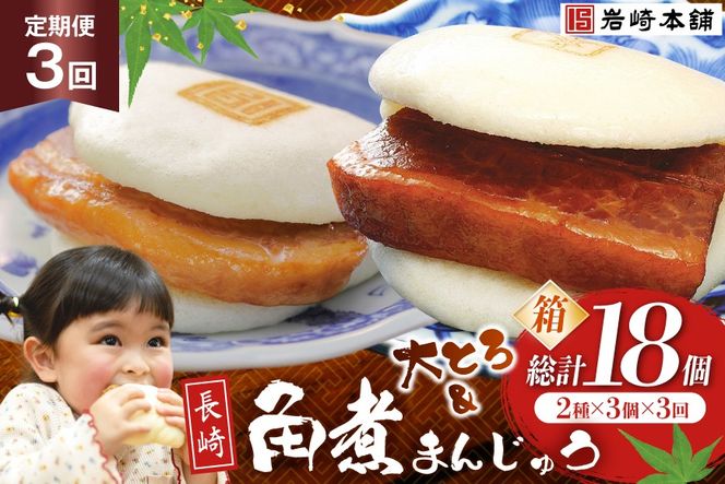 BJ064 岩崎本舗 【3回定期便】長崎自慢セット(長崎角煮まんじゅう 3個・大とろ角煮まんじゅう 3個) (箱) [長崎県 島原市]