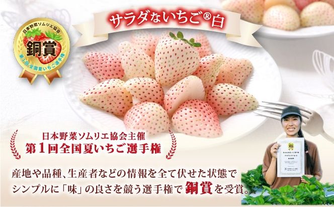 ＜2026年先行予約＞ サラダないちご（白）【ecg-001】