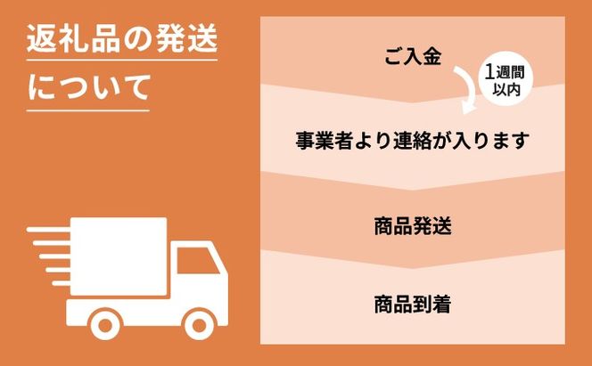 あいもり　DIYホタテ漆喰キット 【55250356】