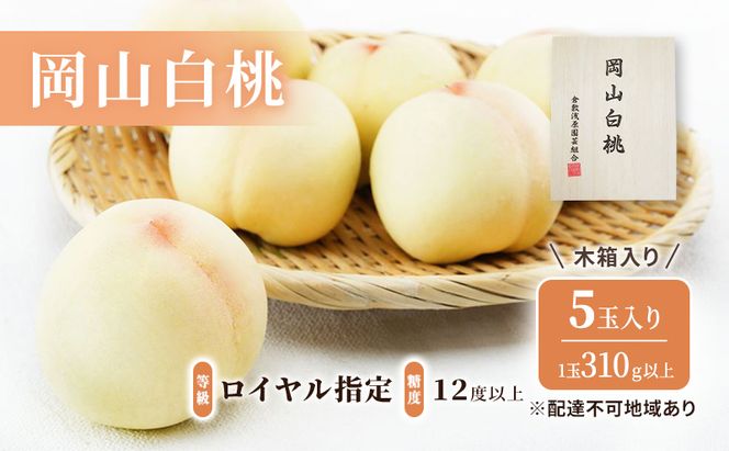 桃 2026年 先行予約 岡山 白桃 5玉（1玉310g以上）等級：ロイヤル指定／糖度：12度以上 木箱入り もも モモ 岡山県産 国産 フルーツ 果物 ギフト 