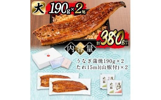 日ノ本一の鰻の蒲焼き＜大＞2尾(計380g以上) b1-018