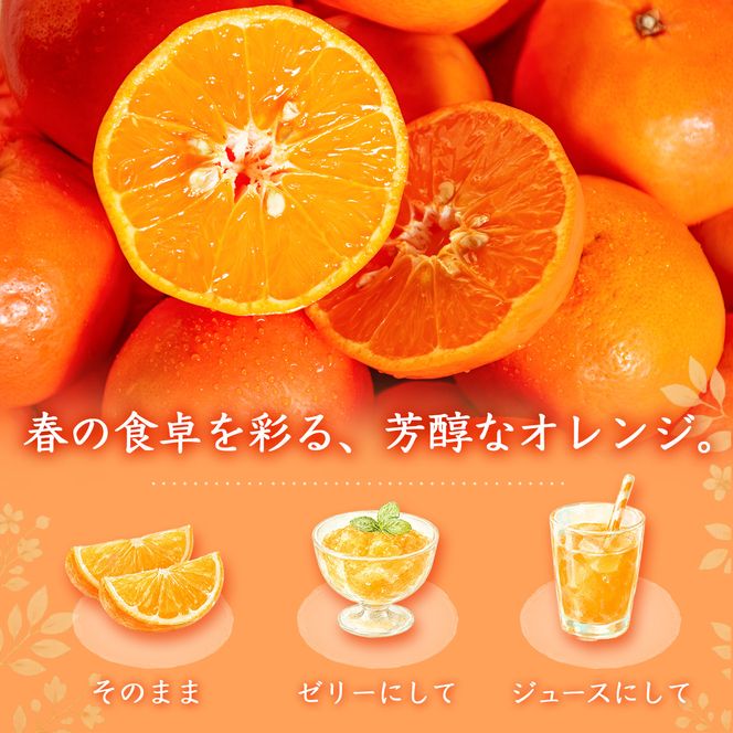 ［先行予約］［ご家庭用訳あり］ジューシー柑橘 セミノールオレンジ 5kg［UT150］ 303446_XF91193