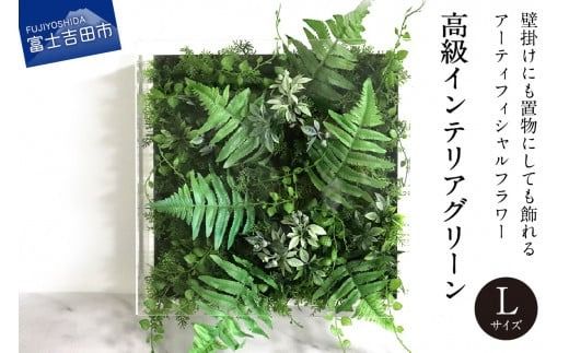 高級インテリアグリーン　Lサイズ