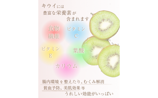 厳選 キウイ 1kg+250g （傷み補償分）【扁平果】  / 和歌山 フルーツ 果物 くだもの ※2026年11月中旬より2027年4月下旬頃順次発送予定 ※北海道・沖縄・離島配送不可 【ikd702B】