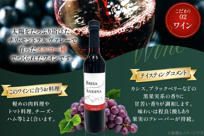 ワイン 赤 ブリサ・アンディーナ メルロー 500ml 12本 セット [カサ・ピノ・ジャパン 山梨県 韮崎市 20745346] ワインセット 山梨 酒 お酒 赤ワイン アルコール ぶどう 果実酒