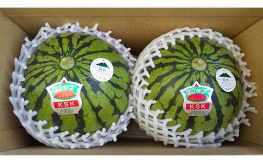 【 先行予約 】 希少品種 「 紅トップ 」 茨城県産 小玉 すいか  2玉入り Lサイズ スイカ [AG003ci]