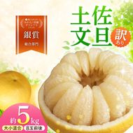 【先行予約】本場、高知県土佐市産！土佐水谷農園の露地土佐文旦 家庭用約5キロ 5kg 大小混合（L～上限なし：8玉前後）〈2027年1月20日～発送〉訳あり ぶんたん  柑橘 フルーツ【土佐水谷農園】 [BQBD003]
