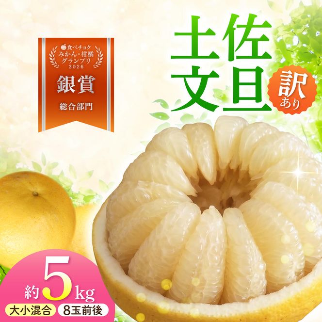 【先行予約】本場、高知県土佐市産！土佐水谷農園の露地土佐文旦 家庭用約5キロ 5kg 大小混合（L～上限なし：8玉前後）〈2027年1月20日～発送〉訳あり ぶんたん  柑橘 フルーツ【土佐水谷農園】 [BQBD003]