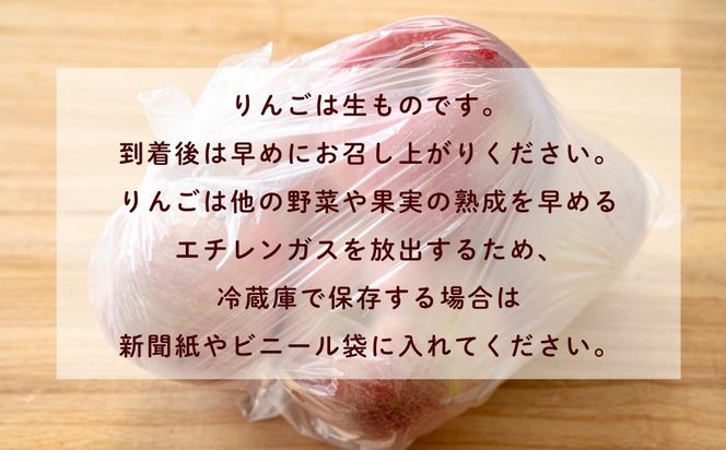 【先行予約】サンふじ 小玉 約3kg （10〜14玉）（2025年12月中旬から発送）りんご サンふじ 限定 直送 小玉 好評 (7-A42-1)