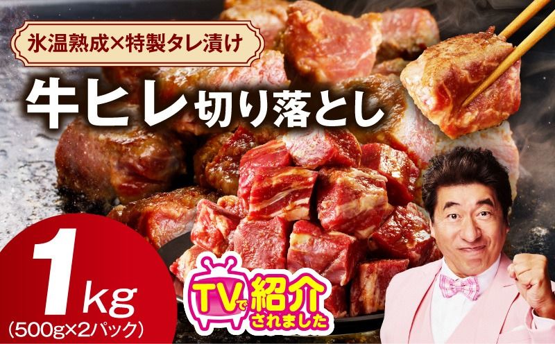 mrzZ049 [定期便]牛ヒレ肉 切り落とし 1kg×全2回[小分け 500g×2P 氷温熟成×特製ダレ サイズ不揃い やわらか ステーキ ひと口サイズ カット済み 2026年1月&4月発送]