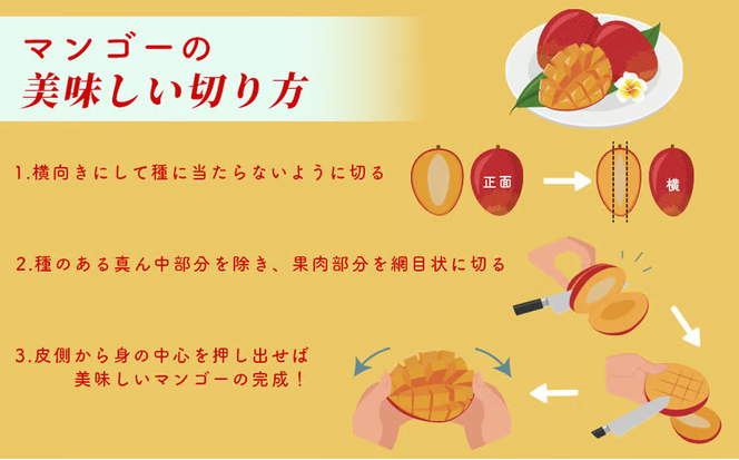 ハナトフルーツ 沖縄県産マンゴーA品 ２ｋｇ 【 先行予約 2026年発送 】