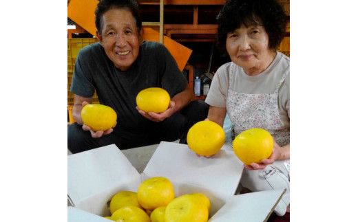 ＜2026年1月下旬より順次発送＞訳あり 嬉龍の土佐文旦 約5キロ L - ４Lサイズ 