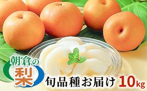梨 季節の朝倉の梨 10kg 12-36玉 配送不可 離島 九州の梨 天然の甘み 安心 安全 お歳暮 ギフト 果物 フルーツ デザート おやつ 福岡県産 朝倉市産 秋の味覚 幸水 豊水 秋月 新高 南水 