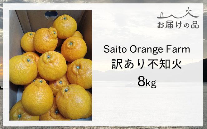 【先行予約】Saito Orange Farmの訳あり不知火8kg（2026年2月下旬頃より順次発送） IKTAQ012