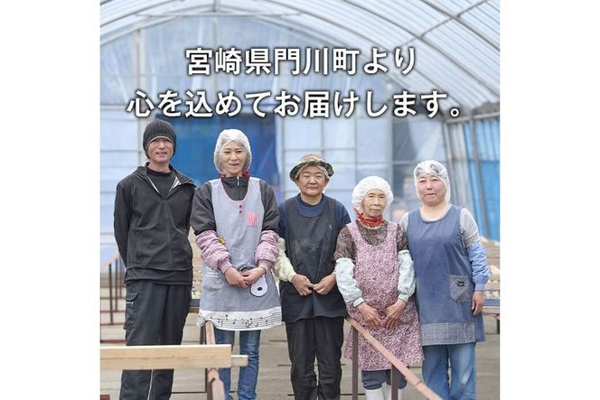 数量限定＞【冷凍】焼き芋・紅はるか(計2kg・500g×4袋)冷凍 焼芋