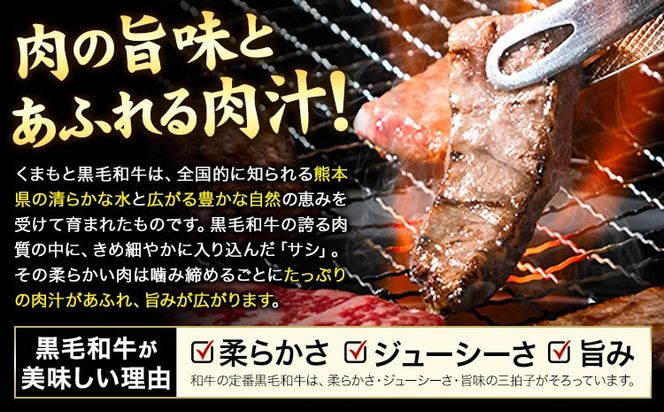 くまもと黒毛和牛 上 ロース 焼肉 切り落とし 300g 600g 900g《7-14日以内に出荷予定(土日祝除く)》熊本県 南阿蘇村 上ロース 焼肉用 黒毛和牛 焼肉 肉 お肉 和牛 300g 小分け リブロース サーロイン ふるさと納税 A4～A5等級 黒毛和牛 切り落とし---mna_fzyoursyk_7e14e_10000_300g---
