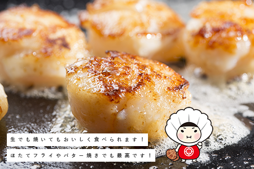 北海道 オホーツク産 冷凍 天然 ホタテ 大サイズ  1kg 帆立 ほたて 刺身 玉冷 貝柱 海鮮 魚介 国産 サロマ湖 魚介類 お刺身 