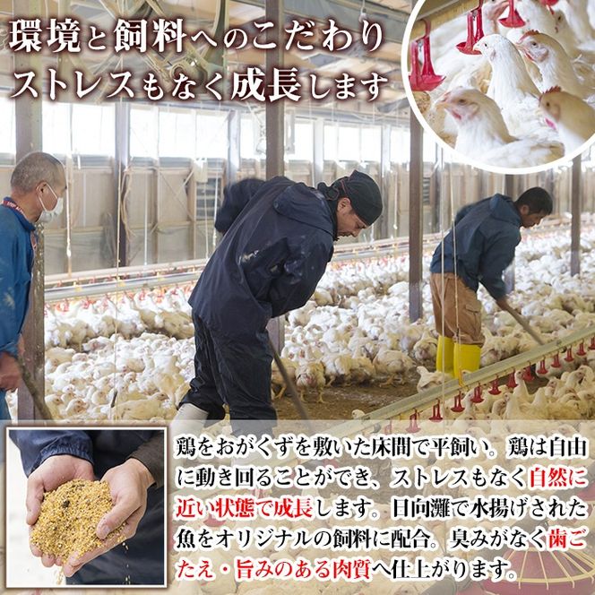 宮崎県産ブランド鶏「夢創鶏」もも・むね切身と県産鶏肩小肉のセット(合計2kg) ブランド鶏 宮崎県産 もも むね 胸肉 カット済み カット鶏肉 肉  唐揚げ からあげ 国産 小分け 希少部位 焼き鳥 冷凍 便利 宮崎県 【C-27】【株式会社 英楽】