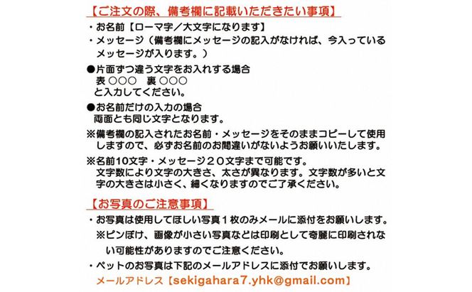 ペットの可愛いお写真をキーホルダーに♪うちの子アクリルキーホルダー（デザインB）