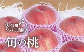 品種おまかせ！旬の桃 約3kg (約7～9玉)！ (白鳳、又は白桃系品種)《信州うちやま農園》■2025年発送■※7月中旬頃～9月中旬頃まで順次発送予定