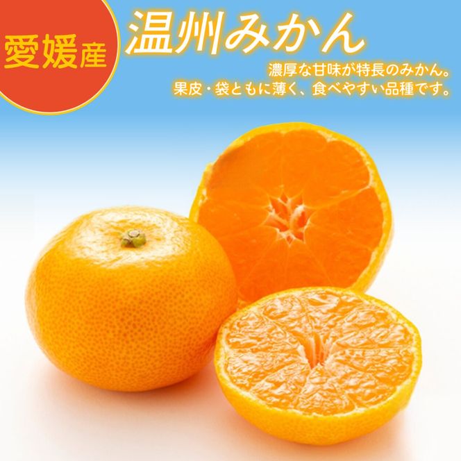 【定期便】Premiumみかんジュース（2本セット）全3回※北海道・沖縄・離島への配送不可 IKTAT010
