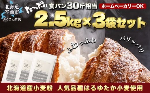 ykCszkCY ͂䂽uh Vo[CYipp͕j7.5kg MROBI015