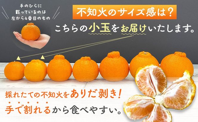 不知火 とにかく 小玉 箱込 2.5kg (内容量約 2.3kg) 秀優品混合 和歌山県産 産地直送［みかんの会］ AX142