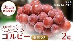 【桐箱入り】 ゴルビー ２房 【2026年9月上旬発送開始】(茨城県共通返礼品：大子町) ぶどう ブドウ 葡萄 果物 フルーツ 果実 贈答用 ギフト 贈り物 プレゼント
