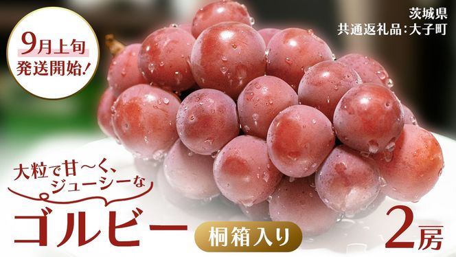 y錧vszy˔z Sr[ Q[ y2026N9{Jnz(錧ʕԗiFq) Ԃǂ uhE  ʕ t[c ʎ p Mtg 蕨 v[g