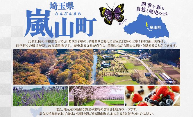 松屋 オリジナルカレーの具 180g 牛丼 プレミアム仕様 牛めしの具 135g 各5袋 10袋 セット 牛肉 カレー 辛口 スパイス カレギュウ レトルト 冷凍 時短 簡単 便利 レンチンおかず 備蓄 夜食 埼玉県 嵐山町