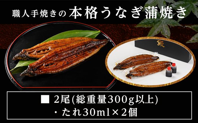 【丑の日】職人手焼きの本格うなぎ蒲焼き2尾≪7月20日～25日お届け≫_MJ-33-003-2-UG 