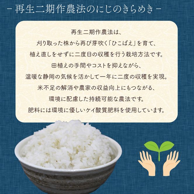 米 にじのきらめき 5kg 訳あり 再生二期作 規格外品 お米 新生活 贈り物 ご飯 ごはん 白米 コメ ライス こだわり 農作物 静岡県産米 静岡県 藤枝市
