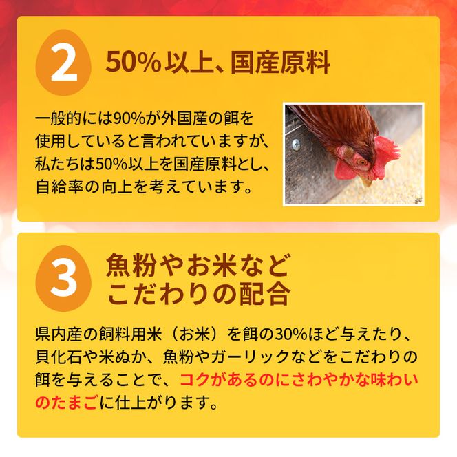 卵 わずか4%の希少な純国産鶏 いけだの森たまご 30個 こだわり おこめのたまご 玉子 鶏卵 生卵 産地直送 冷蔵配送 TKG 卵かけご飯 岐阜県産 