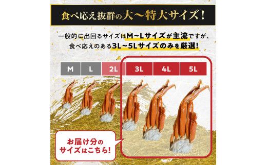 時期が選べる 殻付き 本ずわいがに 肩脚 2kg | ギフト 2026