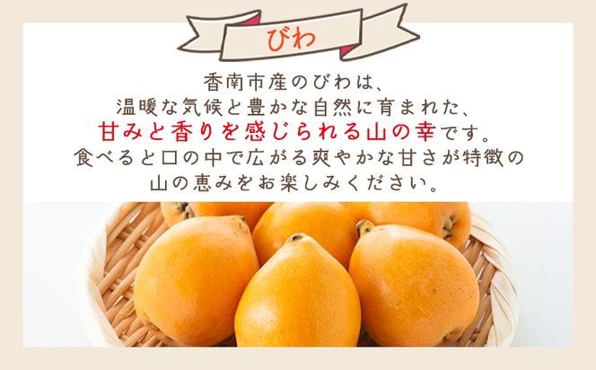 びわ ３パック 約1500ｇ （1パックあたり10～15個入） 香南市産 - 国産 香南市産 フルーツ 果物 果実 青果 ビワ 枇杷 山の幸 山の恵み 甘い やすらぎ市 高知県 香南市 yr-0116
