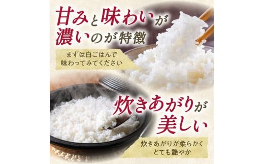 精米したてをお届け！北海道産 ゆめぴりか 10kg_S036-0036