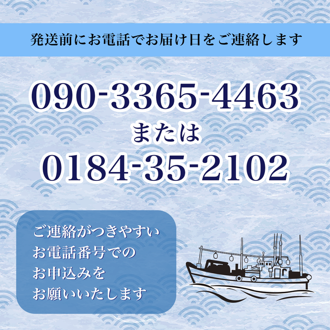 鮮魚 冷蔵 クール便「 開けたらすぐ食べられる下処理済み 海産物 4～5人前 セット 」さとう鮮魚店【 パック 詰め合わせ 海鮮セット 鮮魚ボックス 海鮮 海の幸 魚介 魚介類 刺身 切り身  秋田県 にかほ 】