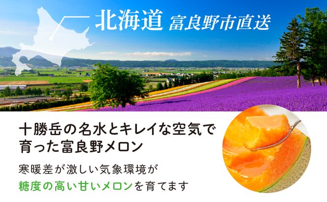 【2026年夏発送】北海道 富良野メロン 5玉 計約8kg メロン フルーツ 果物