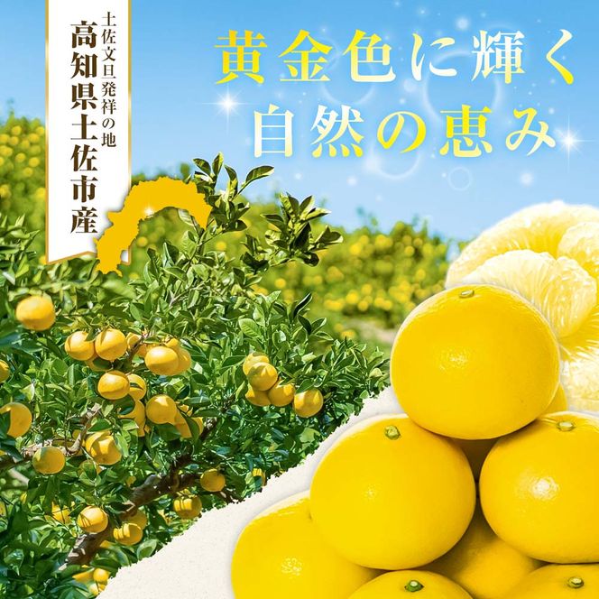 【日本ギフト大賞2024受賞】【先行予約】 園主こだわりの土佐文旦 5kg 小玉（L～Mサイズ） 2027年1月下旬より順次発送 家庭用 贈答用 ぶんたん ブンタン【やの一果彩】 [BQAC017]