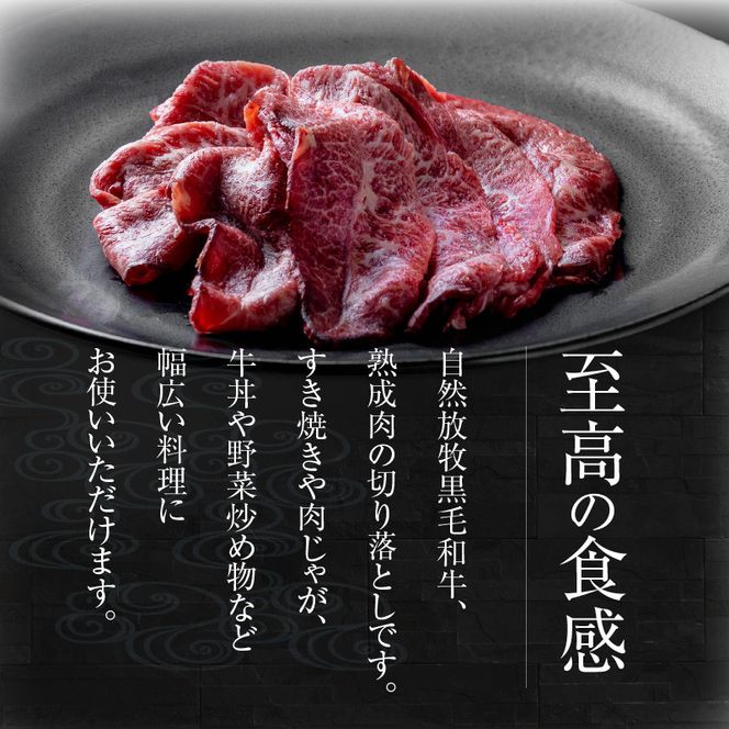 八崎牛の熟成の切り落とし約500g N0105-YA2240