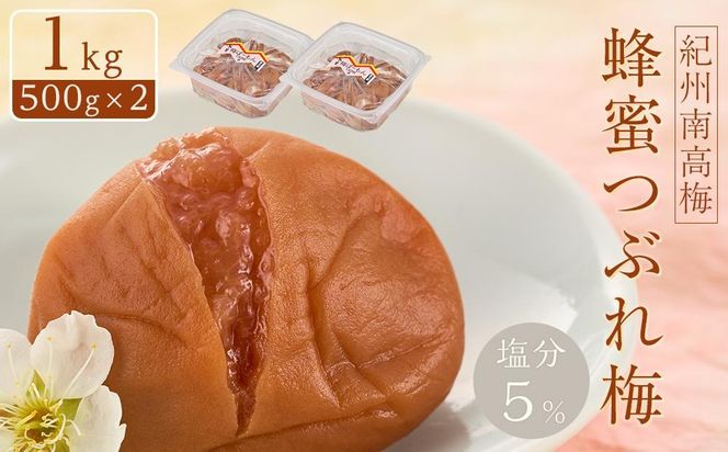 紀州南高梅 蜂蜜つぶれ梅 塩分5％ 1kg (500g×2) ［Kn22］ 303446_CQ022