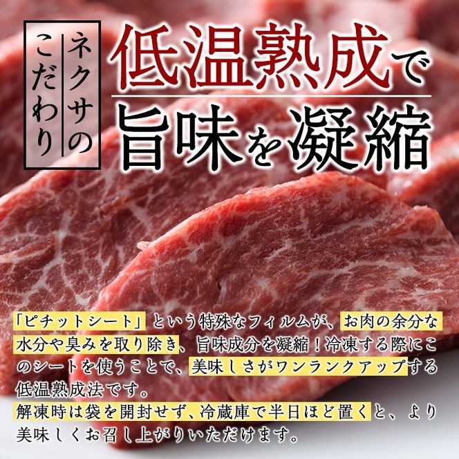 ＜定期便・全4回＞おおいた和牛 希少 赤身 焼肉 お楽しみ 定期便 (3ヶ月ごとにお届け) 国産 牛肉 肉 霜降り A4 ヒレ ランプ 大トロカルビ ミスジ 和牛 ブランド牛 冷凍 大分県 佐伯市【DH247】【(株)ネクサ】