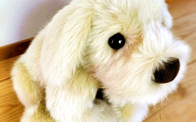 パトランミニ・ナチュラル 糸島市 / 科学工房未来 犬 ペット ぬいぐるみ [AYI007] パトラン ナチュラル ぬいぐるみ 犬 いぬ ハンドメイド クラフトファー ペット