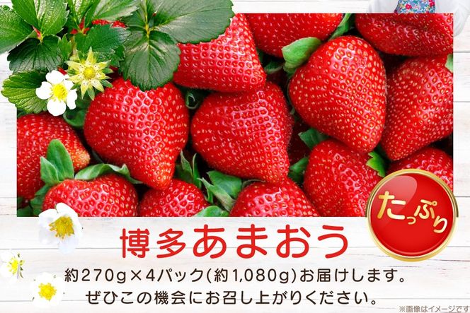 いちご4/8 おまとめ御依頼分2 期間限定発送】 いちご 完熟 あまおう 約270g 4p [mhshops 福岡県