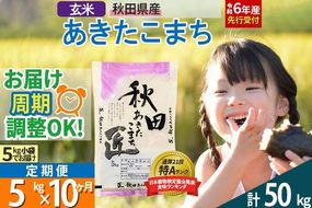 【玄米】＜令和6年産 予約＞ 《定期便10ヶ月》秋田県産 あきたこまち 5kg (5kg×1袋)×10回 5キロ お米【お届け周期調整 隔月お届けも可】|02_snk-020310s